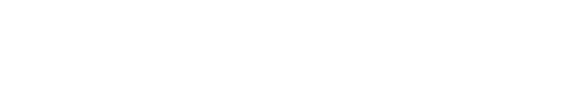 Brooklynmaxx